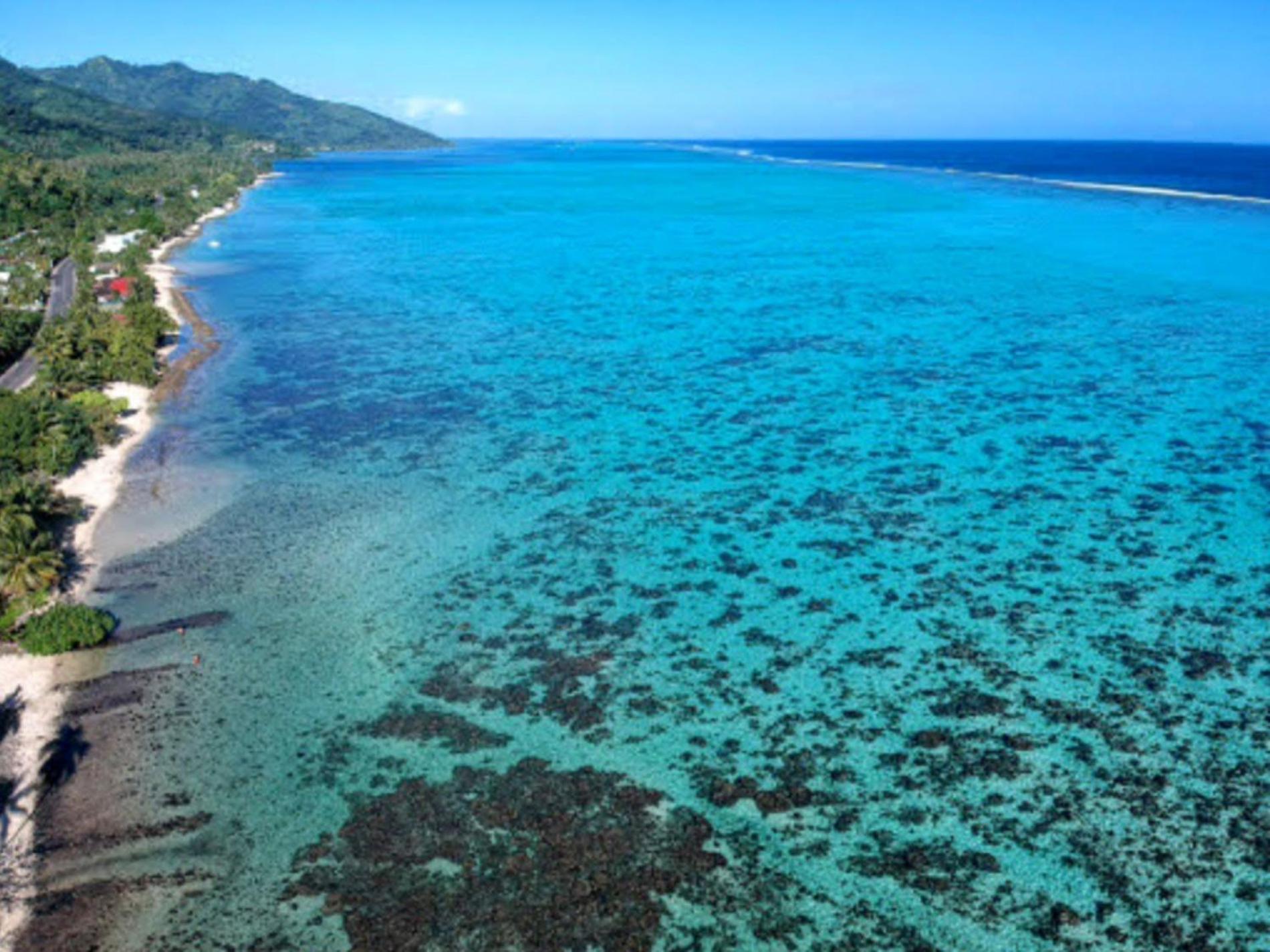 Moorea - Fare Taina Iti Haapiti Esterno foto